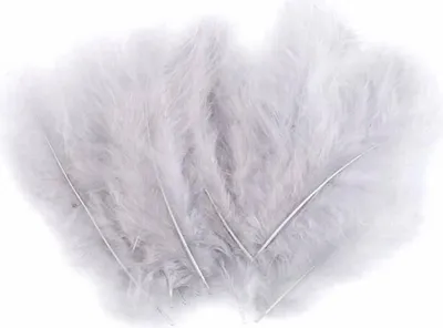 Immagine prodotto di Piume decorative Piume di struzzo grigio 9-16 cm