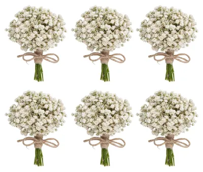 6 Mini-Gipskräuter-Buketts, getrocknet, für Deko & Basteln