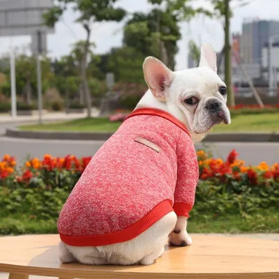 Image de Sweat-shirt pour chien - Rouge L