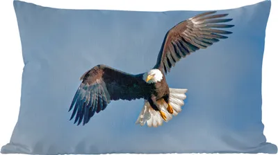 Produktbild von MuchoWow® Zierkissen Sofakissen Wohnzimmer Dekokissen 50x30 cm Ein amerikanischer Weißkopfseeadler am blauen Himmel - Wohnzimmerdekoration - Polster mit Photo