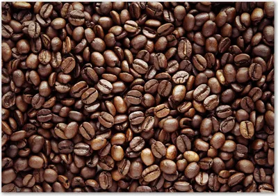 Produktbild von Tulup® Glas-Bild - 100 x 70 - Wandbild aus Glas - Wandkunst - Wandbild hinter gehärtetem Sicherheitsglas - Essen & Getränke - Kaffeebohnen - Braun