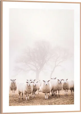 Produktbild von Wandbild - Braun - Weiß - 30 x 40 cm - Schafe im Nebel