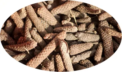 Image de Eder Gewürze - Poivre noir en grains - 1 kg