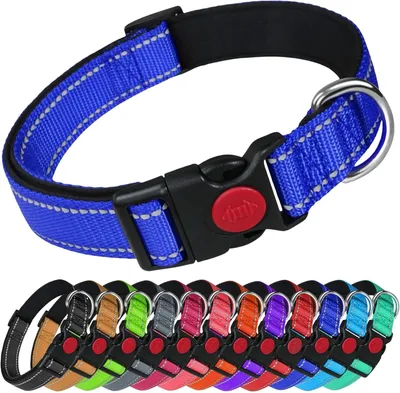 Zdjęcie produktu dla Obroża dla psa z nylonu, odblaskowa, regulowana, o długości 25-40 cm, z podszewką z neoprenu, idealna na spacery