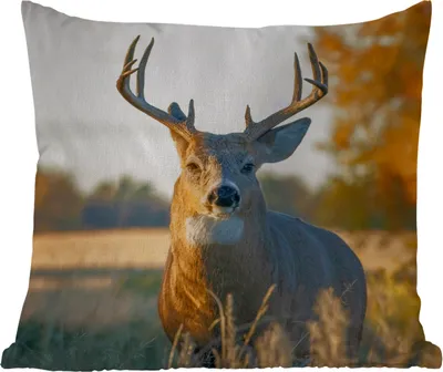 Produktbild von MuchoWow® Outdoor Kissen - Hirsche - Gras - Herbst - Geweih - Natur - Tiere - 40x40 cm - Wetterfest - Lounge Kissen - Kopfkissen - Interieur - Polster mit Bild