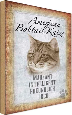 Produktbild von vianmo Holzschild 18x12 cm American Bobtail Katze