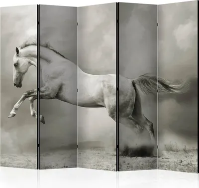 Produktbild von 5-teiliger Doppelseitiger Vlies Paravent - Wild Stallion II 225x172 cm Tiere g-C-0214-z-c
