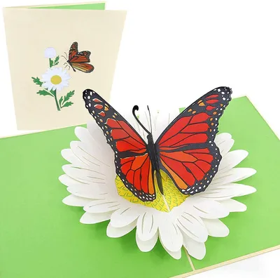 3D Pop-up Karte Monarchfalter auf Gänseblümchen, Muttertag, Geburtstag