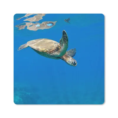 Produktbild von MuchoWow® Mauspad Mousepad Schildkröte schwimmt im Meer 20x20 cm - Mousepads - Maus Mat - Pad - Mausunterlage - Desk Mat - Bureauartikeln
