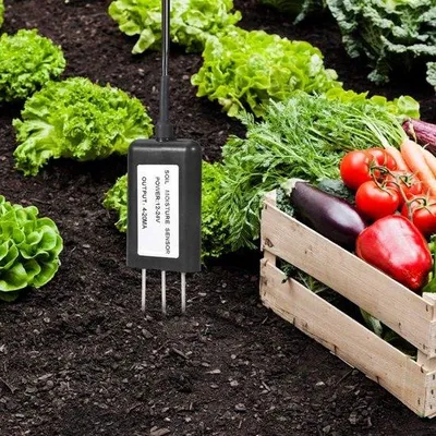 Zdjęcie produktu dla Czujnik wilgotności gleby 2 w 1 – urządzenie wielofunkcyjne z pomiarem temperatury i wilgotności, 4–20 mA