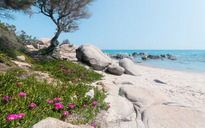 Produktbild von Sanders & Sanders Fototapete Strand-Motiv Grün, Grau und Blau 450 x 280 cm