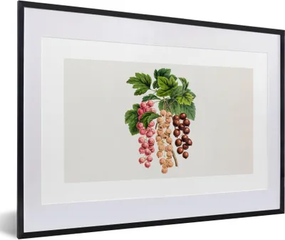 Produktbild von MuchoWow® Gerahmtes Poster Lebensmittel - Beeren - Pflanze 60x40 cm - Poster mit Schwarzem Bilderrahmen Wandposter Rahmen Foto Bilder - Schlafzimmer - Plakat in Rahmen - Drucken