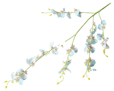 Produktbild von 39 Zoll große künstliche Phalaenopsis-Blüten, 5 Stiele, künstliche Orchideenpflanzen für Vase, Brautparty, Heimparty, Hochzeitsdekoration
