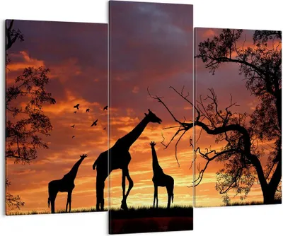 Produktbild von Bild auf Leinwand - Leinwandbild - Giraffe Afrika Sonne Safari - 130x100cm - Wand Bild - Wanddeko - Leinwanddruck - Bilder - Kunstdruck - Wanddekoration - Leinwand bilder - Wandkunst - CB130x100-0507