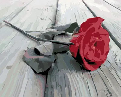 Produktbild von Zuty - Malen nach Zahlen - HINGELEGTE ROSE, 40x50 cm, ohne Keilrahmen