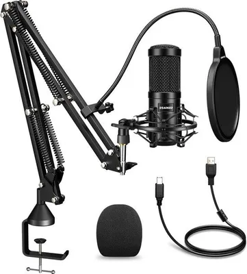 Image de Microphone à condensateur USB