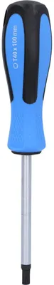 Immagine prodotto di BRILLIANT TOOLS Cacciavite TORX T40 x 100 mm - BT031042