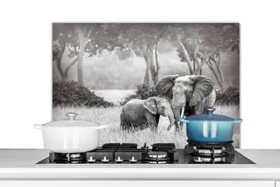 Produktbild von KitchenYeah®  Spritzschutz Küche - Küchenrückwand - Wandschutz für Herd und Spüle - Elefant - Tiere - Natur - Schwarz und weiß 90x60 - Alu-Dibond (Alternative zum Spritzschutz aus Glas) - Hitzebeständ