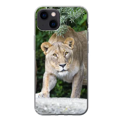 Produktbild von MuchoWow® Handyhülle Schutzhülle Hülle für iPhone 13 mini Löwinnen - Wilde Tiere - Jagd Silikon Softcase Handy Hülle - Softcase
