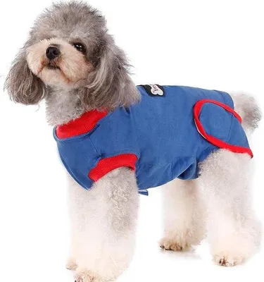 Image de Vêtements extensibles pour petits chiens, après une opération, protection anti-lamage