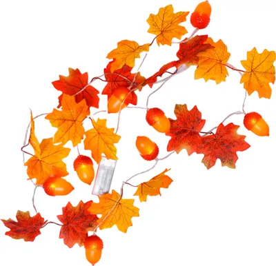 Produktbild von 2er-Pack Lichterketten mit Ahornblättern, HerbstNachbildungation für Zuhause, insgesamt 4,9 m, 20 LEDs, warmweiß, batteriebetrieben, Hängegirlande für Haustür, Wand, Kamin, Treppe, Party, Festival
