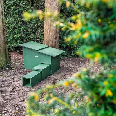 Produktbild von CJ Wildlife Igelhaus Winterfest - Deluxe XXL - Holz ( 100%) - Grün - für Igel zum Nisten und Überwintern - abnehmbares Dach, belüftet