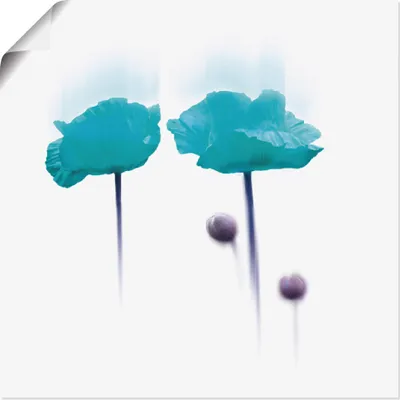 Produktbild von ARTland Poster Blüte abstrakt II Größe: 50x50 cm
