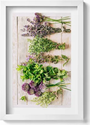 Produktbild von Pflanzen und Kräuter auf Brettern– Wandbild mit Rahmen – Gerahmtes Bild  – Wanddekoration – 20x30 cm – Weiß