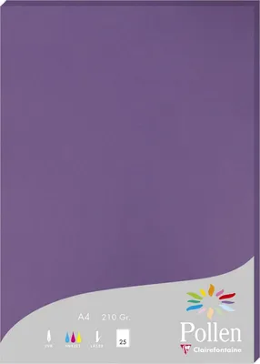 Produktbild von Clairefontaine Papier A4 Pollen 210g violett 25 Bl