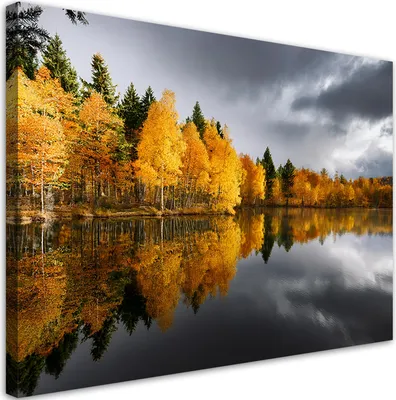 Produktbild von Leinwandbild Herbstwald am See 60x40 Feeby Gelb bild für die wand bereit zum aufhängen