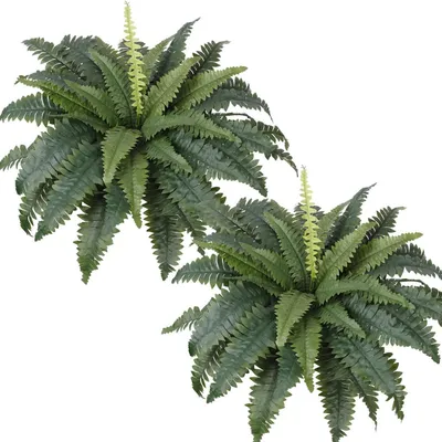 Productafbeelding van Kunstplanten, Bostonvaren, 2 stuks, 58 cm, UV-bestendig, geschikt voor buitendecoratie