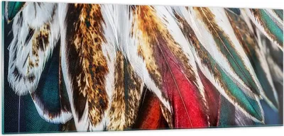 Produktbild von Bilder auf glas - Federn Federn Vogel - 100x40cm - Glasbilder - Wandbilder - Kunstdruck - zum Aufhängen bereit - Wanddekoration aus Glas - Glas Bilder - Wandbild auf Glas - Einteilig - GAB100x40-3743