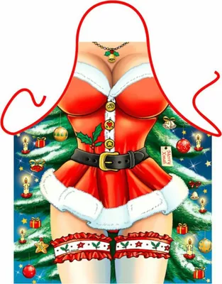 Produktbild von Weihnachtsmann - Lustige Schürze Küchenschürze