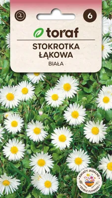 Zdjęcie produktu dla Stokrotka łąkowa BIAŁA 0,2g