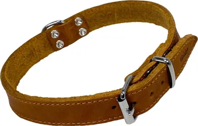 Image de Nobby collier Tabil cognac, réglable : 41 - 46 cm