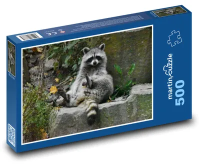 Obrázek produktu pro martinpuzzle - Puzzle 500 - Mýval