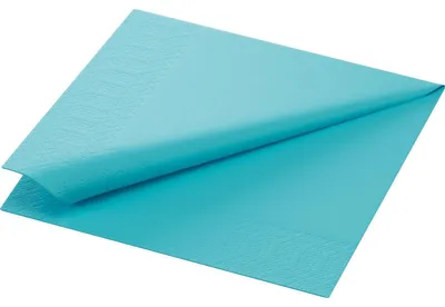 Obrázok produktu pre Duni Tissue obrúsky 33 x 33 cm Mint Blue 3 vrstvy 50 kusov
