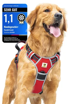Image de Harnais réfléchissant pour petits chiens avec poignée