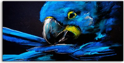 Produktbild von Coloray - Glasbild - 100x50 cm - Wandbild - Glasbilder - Malerei Blauer Papagei Moderne Kunst