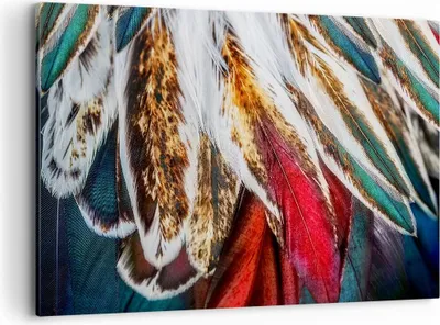 Produktbild von Bild auf Leinwand - Leinwandbild - Federn Federn Vogel - 120x80cm - Wand Bild - Wanddeko - Leinwanddruck - Bilder - Kunstdruck - Wanddekoration - Leinwand bilder - Wandkunst - AA120x80-3743