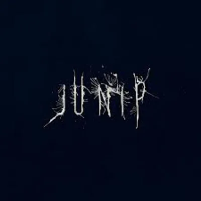 Obrázok produktu pre Junip: Junip (180g) - - (LP / J)