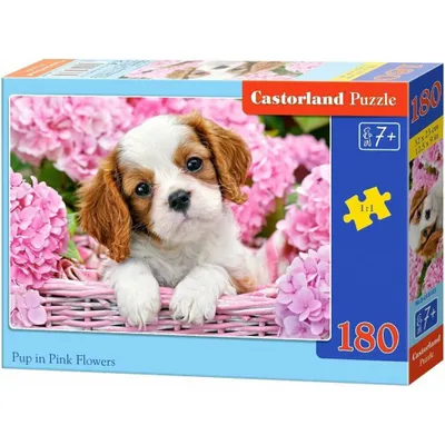 Obrázek produktu pro Castorland Pup in Pink Flowers 180 pcs, 180 kusů, Zvířata, 7 rok/roky