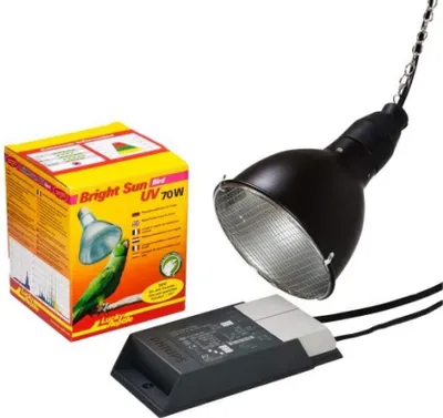 Image de Lucky Reptile Bright Sun Set "Bird" 70 W