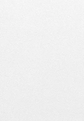 Produktbild von Rasch Vliestapete 489507 Prego weiß 10,05 x 0,53 m
