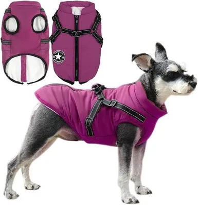 Image de Manteau imperméable pour chien, taille L, par paire, réfléchissant