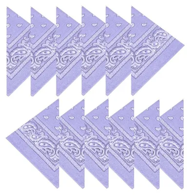 Obrázok produktu pre Boolavard, 1, 6, 9 alebo 12 kusov: Cowboy bandana, šatovka s originálnym vzorom Paisley