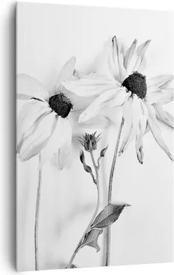 Produktbild von Bild auf Leinwand - Leinwandbild - Einteilig - Verwelkt Blumen Monochrom - 80x120cm - Wand Bild - Wanddeko - Wandbilder - Leinwanddruck - Wanddekoration - Leinwand bilder - Wandbild - PA80x120-4737