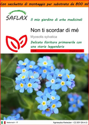 Immagine prodotto di SAFLAX Garden in the bag - Non ti scordar di mé - 150 semi - Myosotis