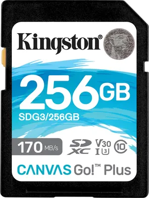 Zdjęcie produktu dla Kingston Technology Canvas Go! Plus , 256 GB, SD, Klasa 10, UHS-I, 170 MB/s, 90 MB/s