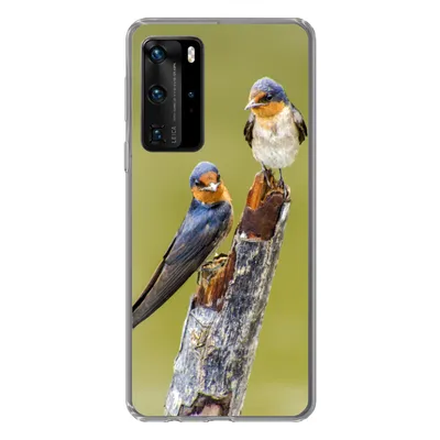 Produktbild von MuchoWow® Handyhülle Schutzhülle Hülle für Huawei P40 Pro Vögel - Zweig - Porträt Silikon Softcase Handy Hülle - Schutz
